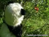 Le petit chaperon rouge putain de Panda
